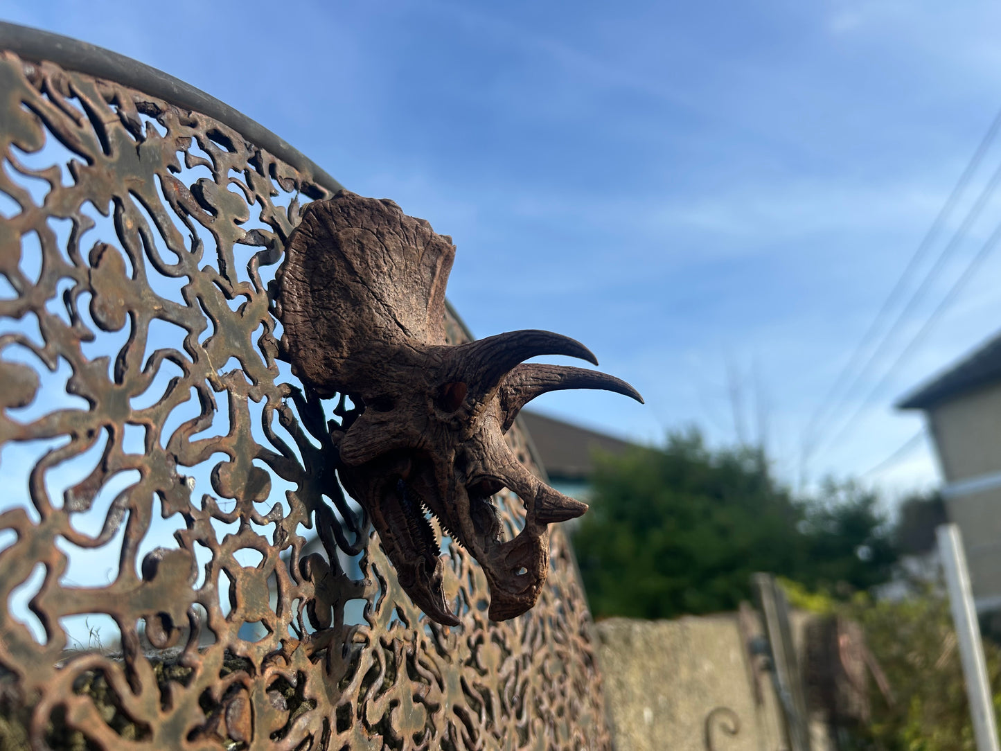 Triceratops prorsus 3D magnet
