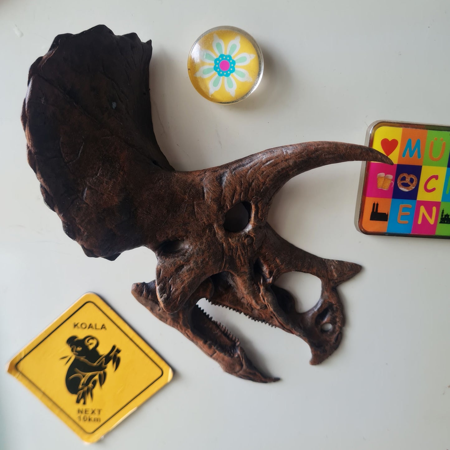 Triceratops prorsus Magnet