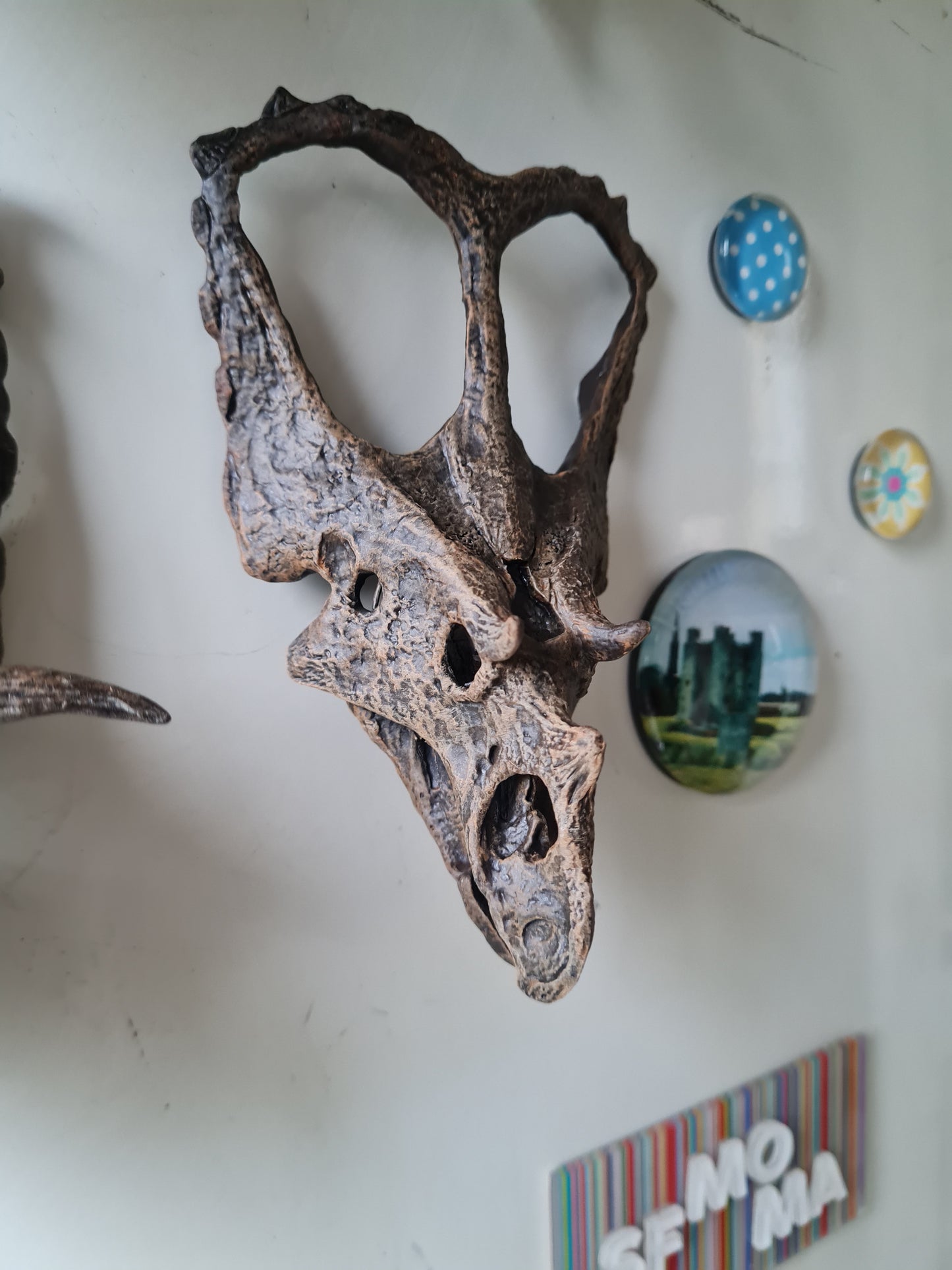'Ceratopsian Wall' Bundle