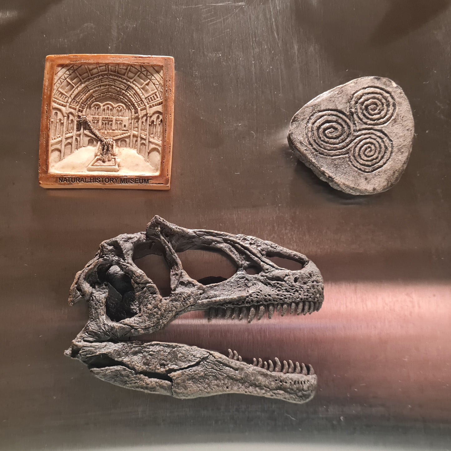 Allosaurus fragilis Magnet