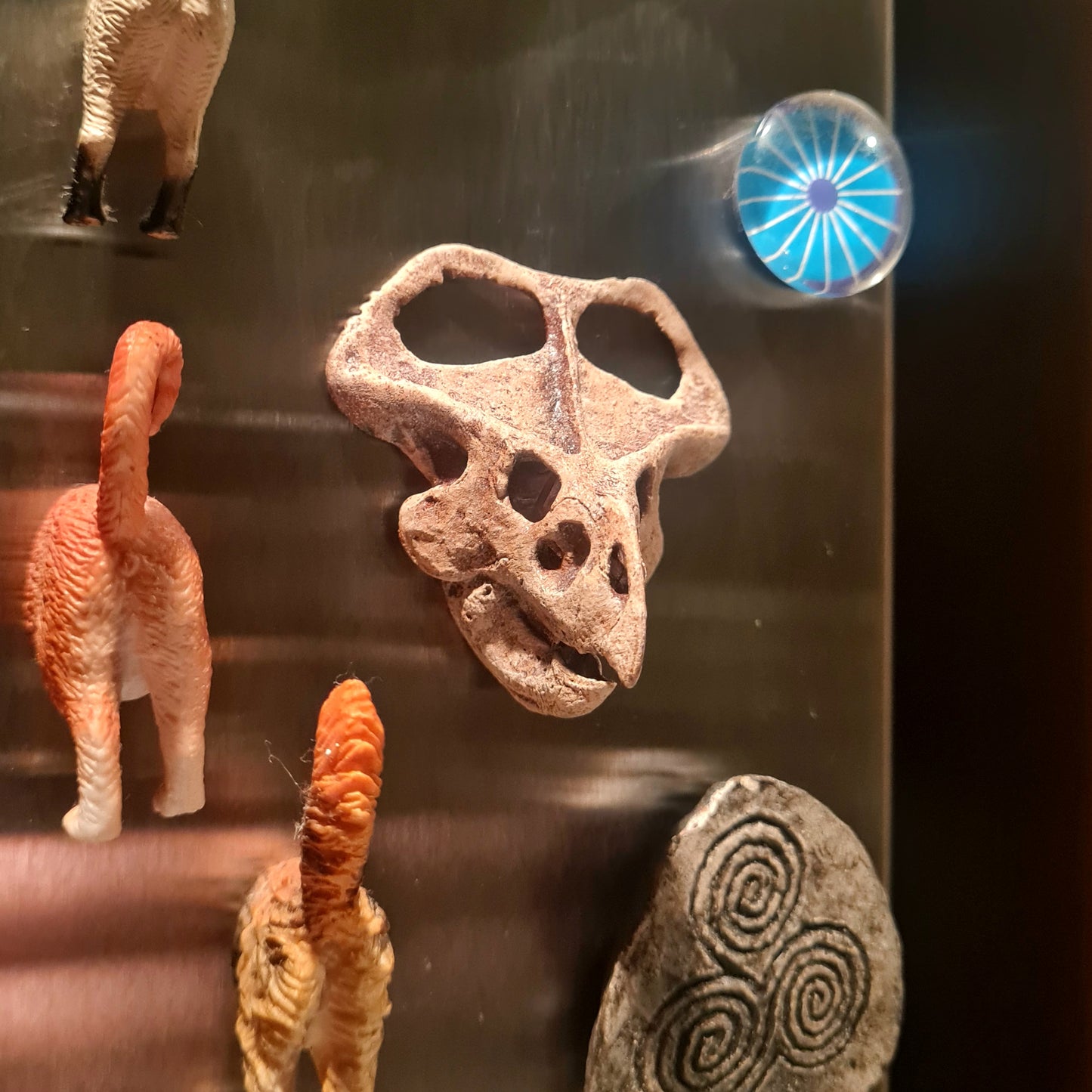 'Ceratopsian Wall' Bundle