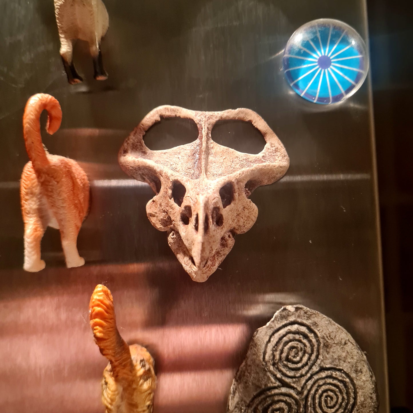 Protoceraops Magnet