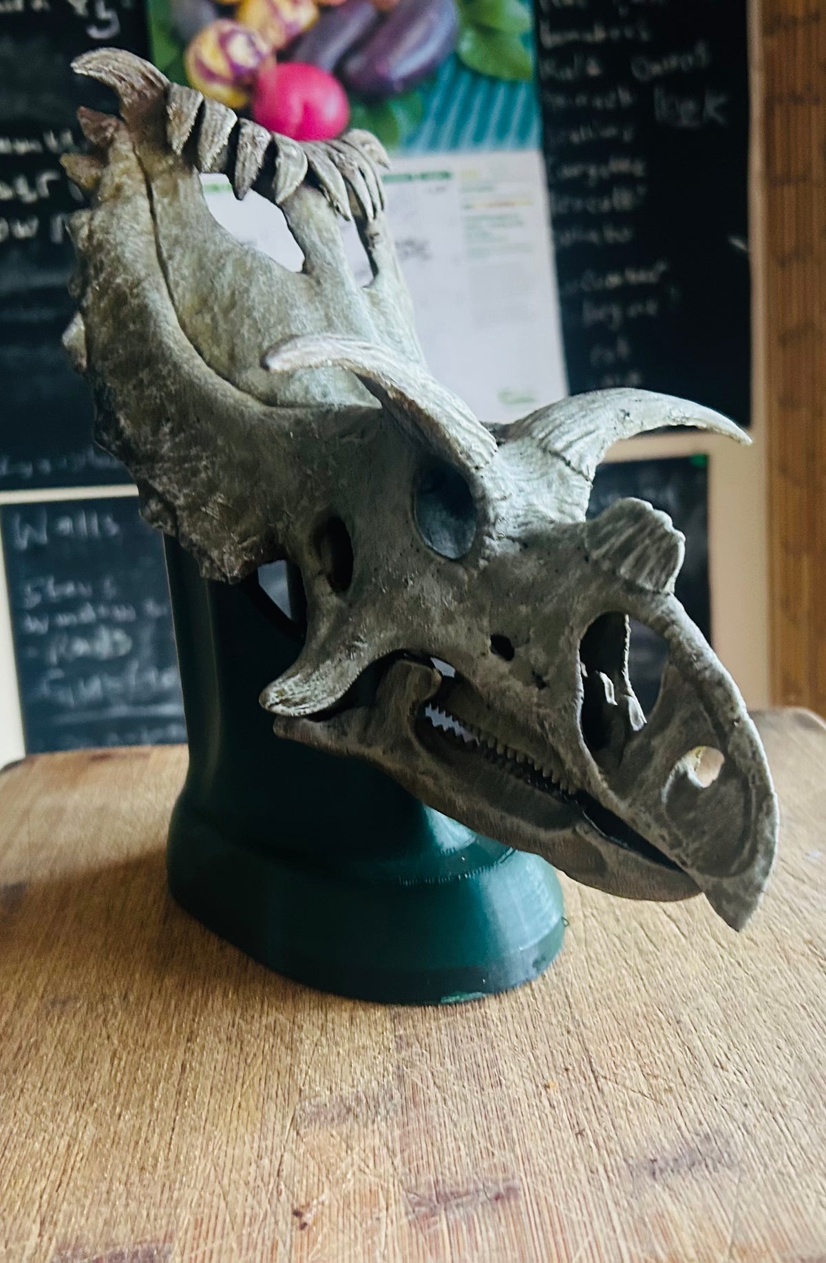 Kosmoceratops richardsoni