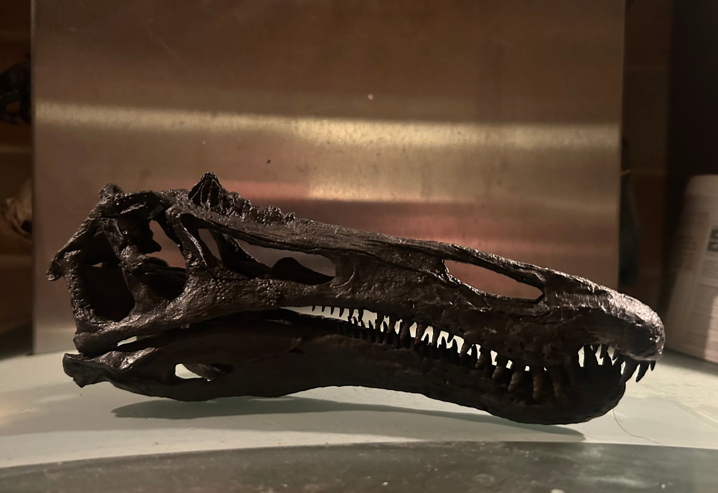 Suchomimus tenerensis