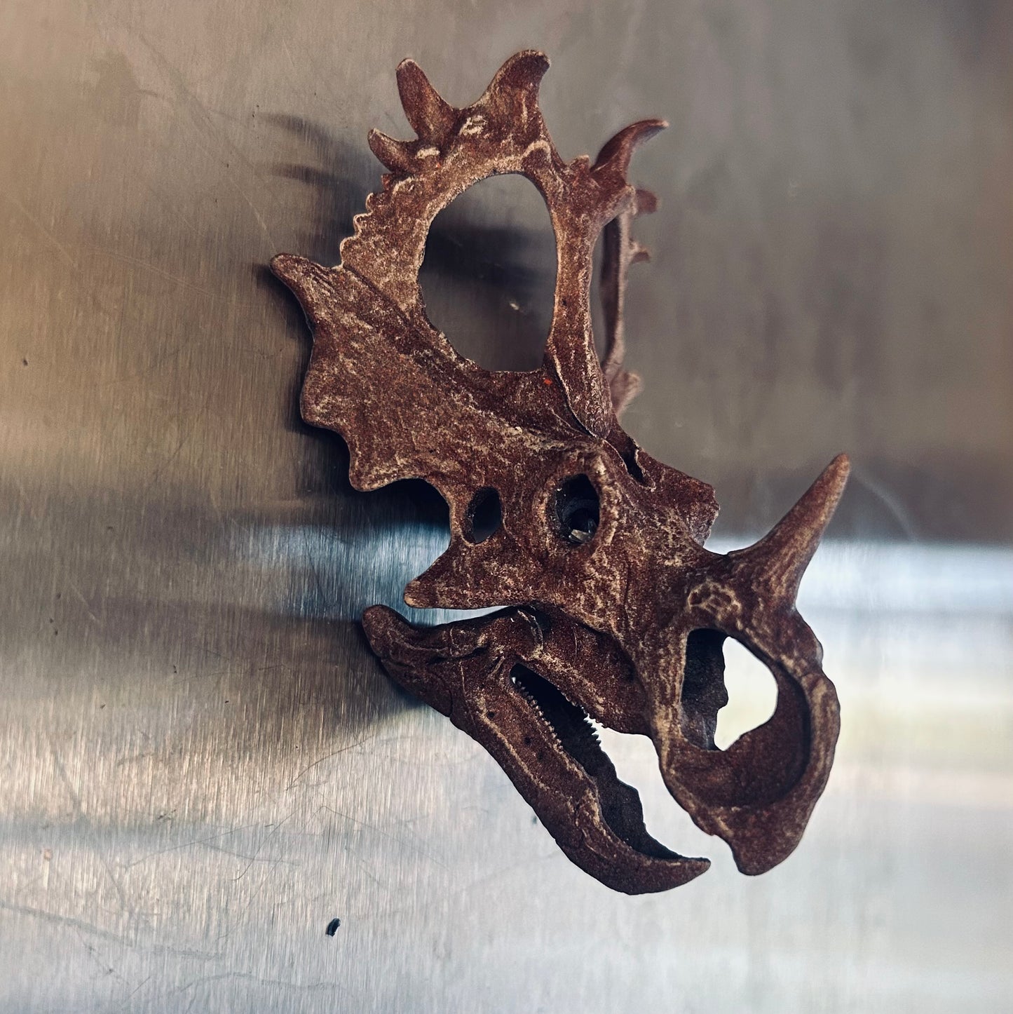 Sinoceratops