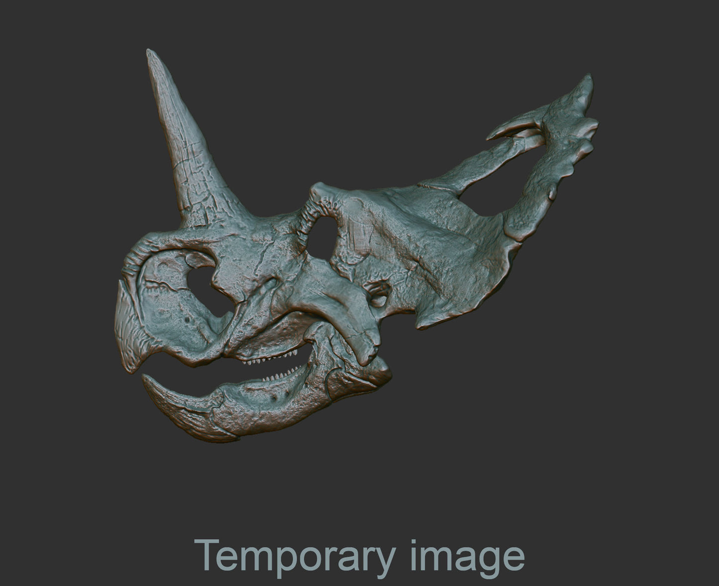 Centrosaurus Magnet (bas relief)