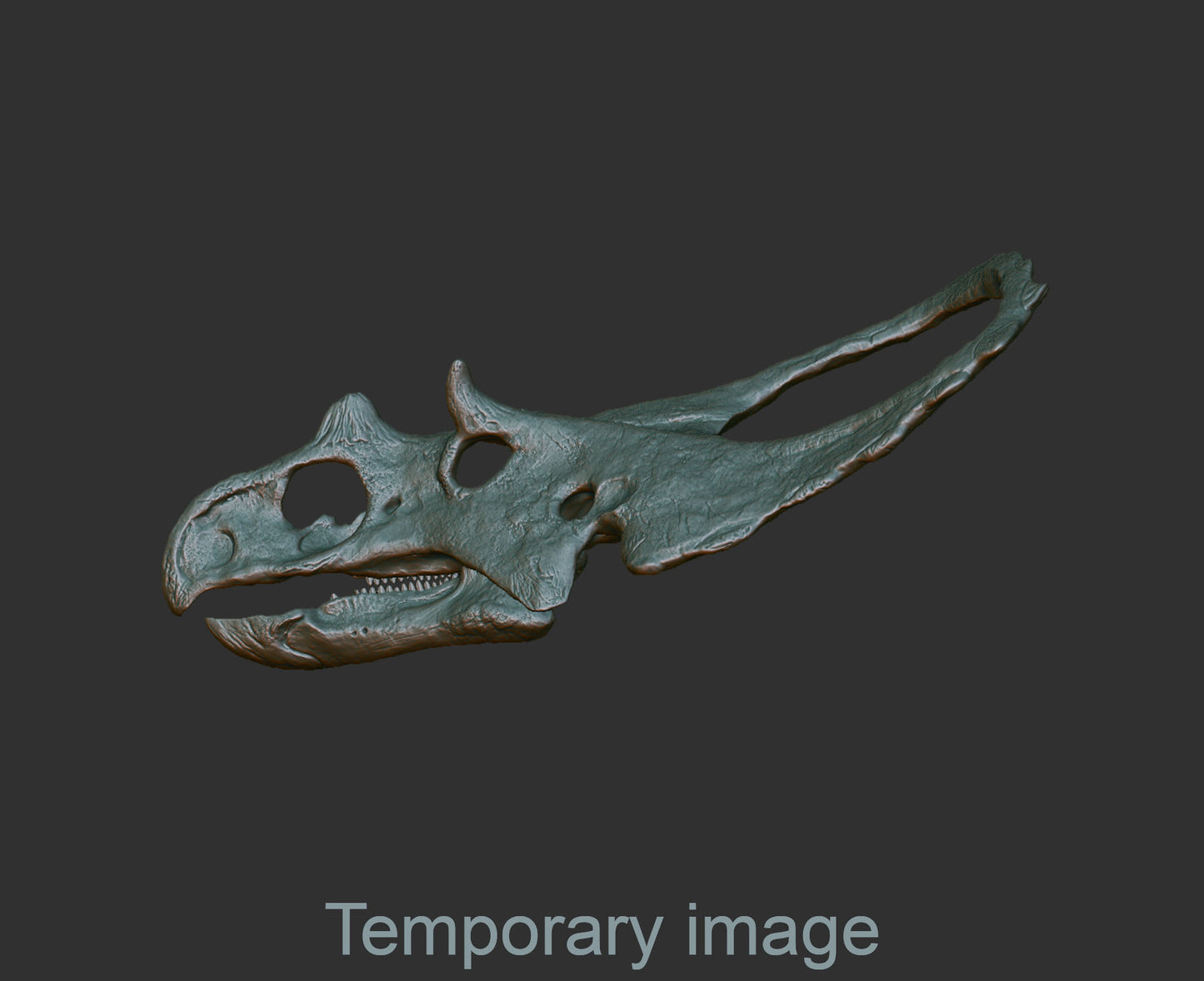 Chasmosaurus Magnet