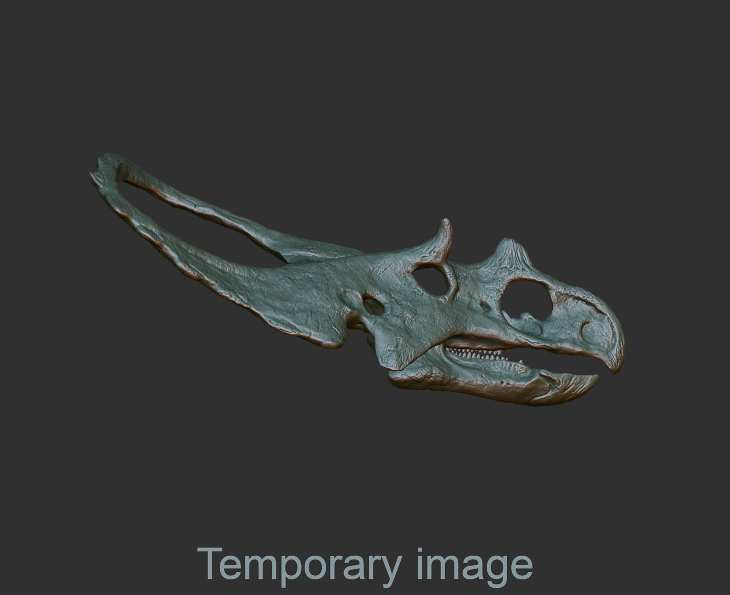 Chasmosaurus Magnet