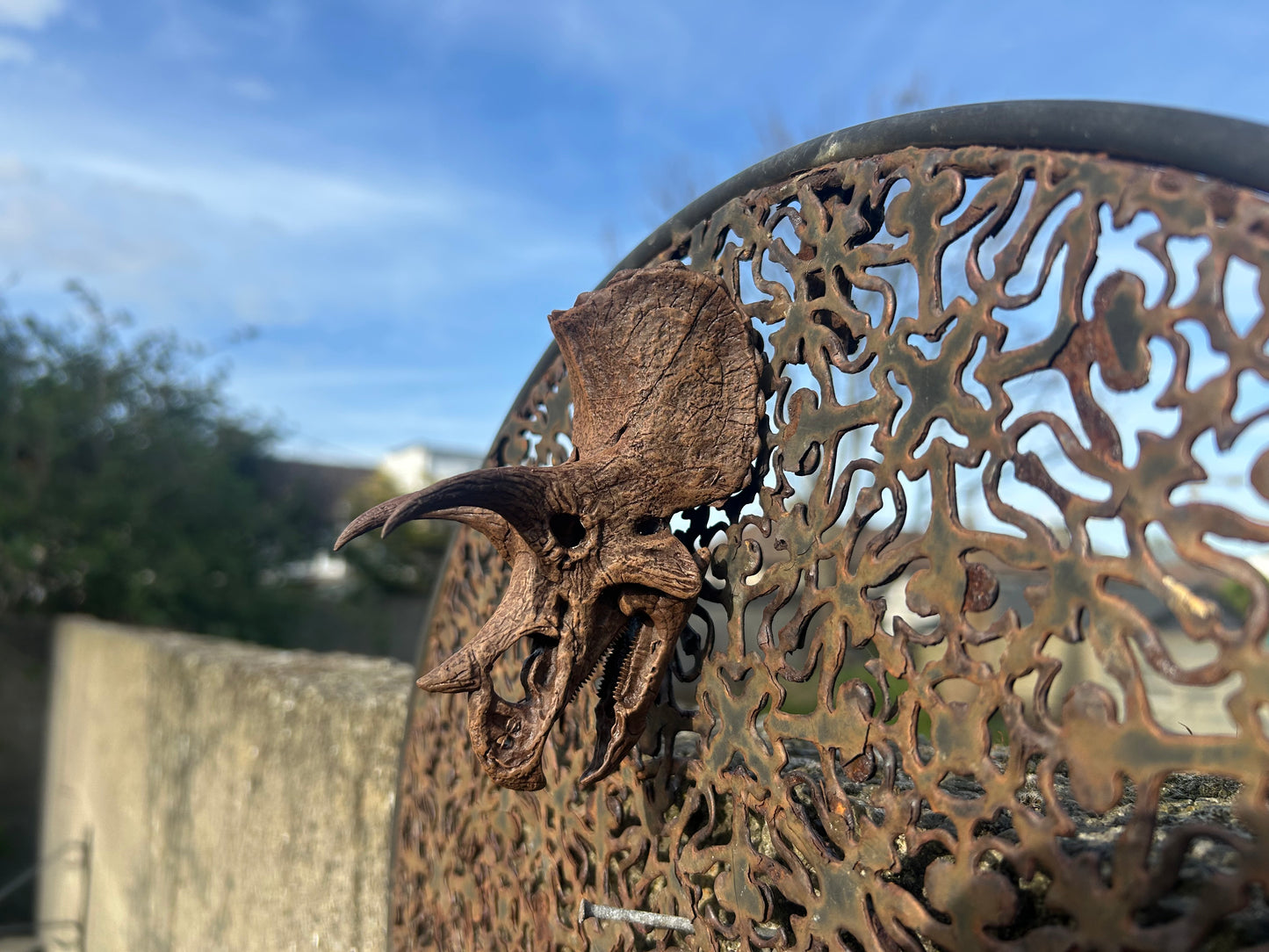 Triceratops prorsus 3D magnet