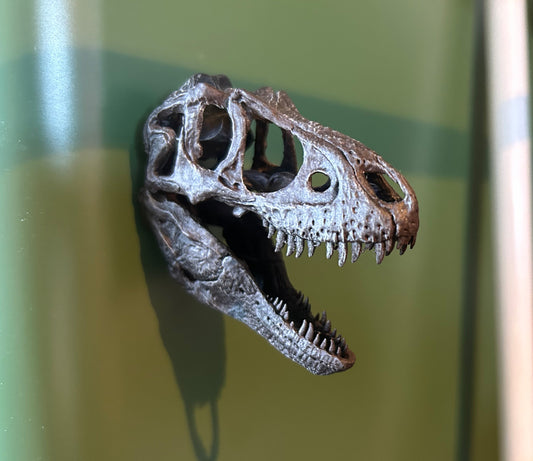 Daspletosaurus 3D Magnet