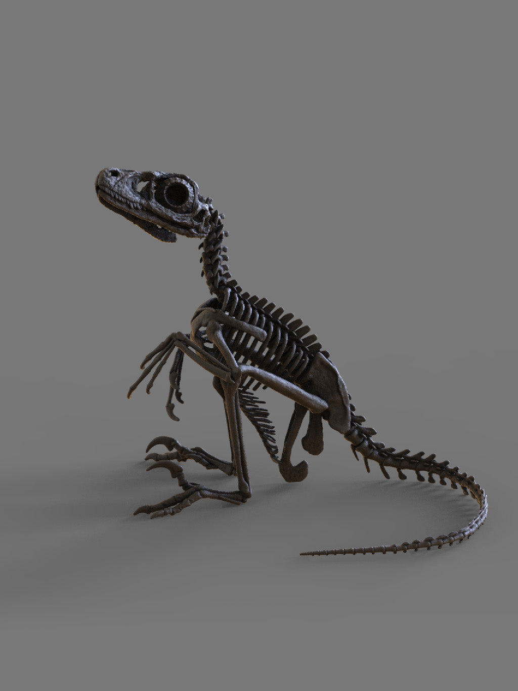 Deinonychus Hatchling