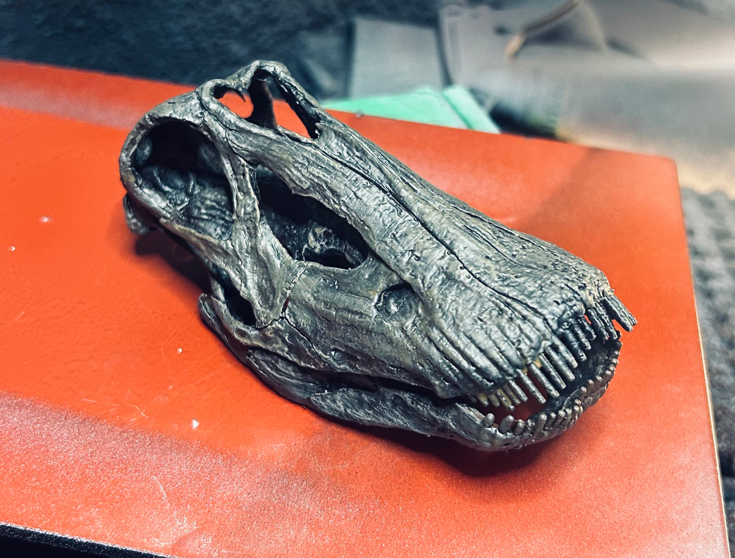 Diplodocus longus