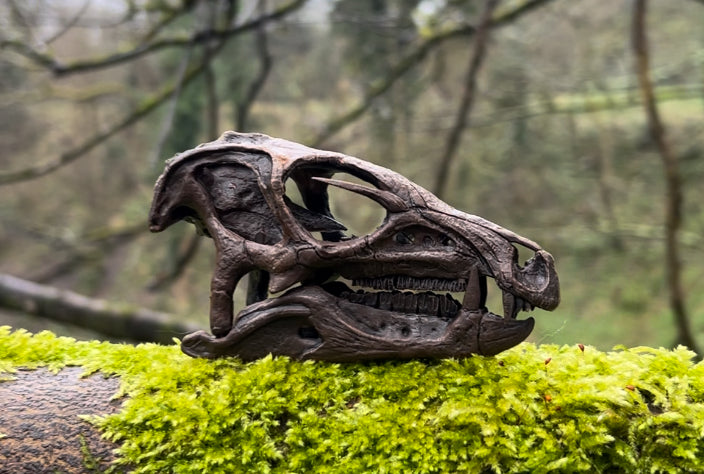 Heterodontosaurus tucki