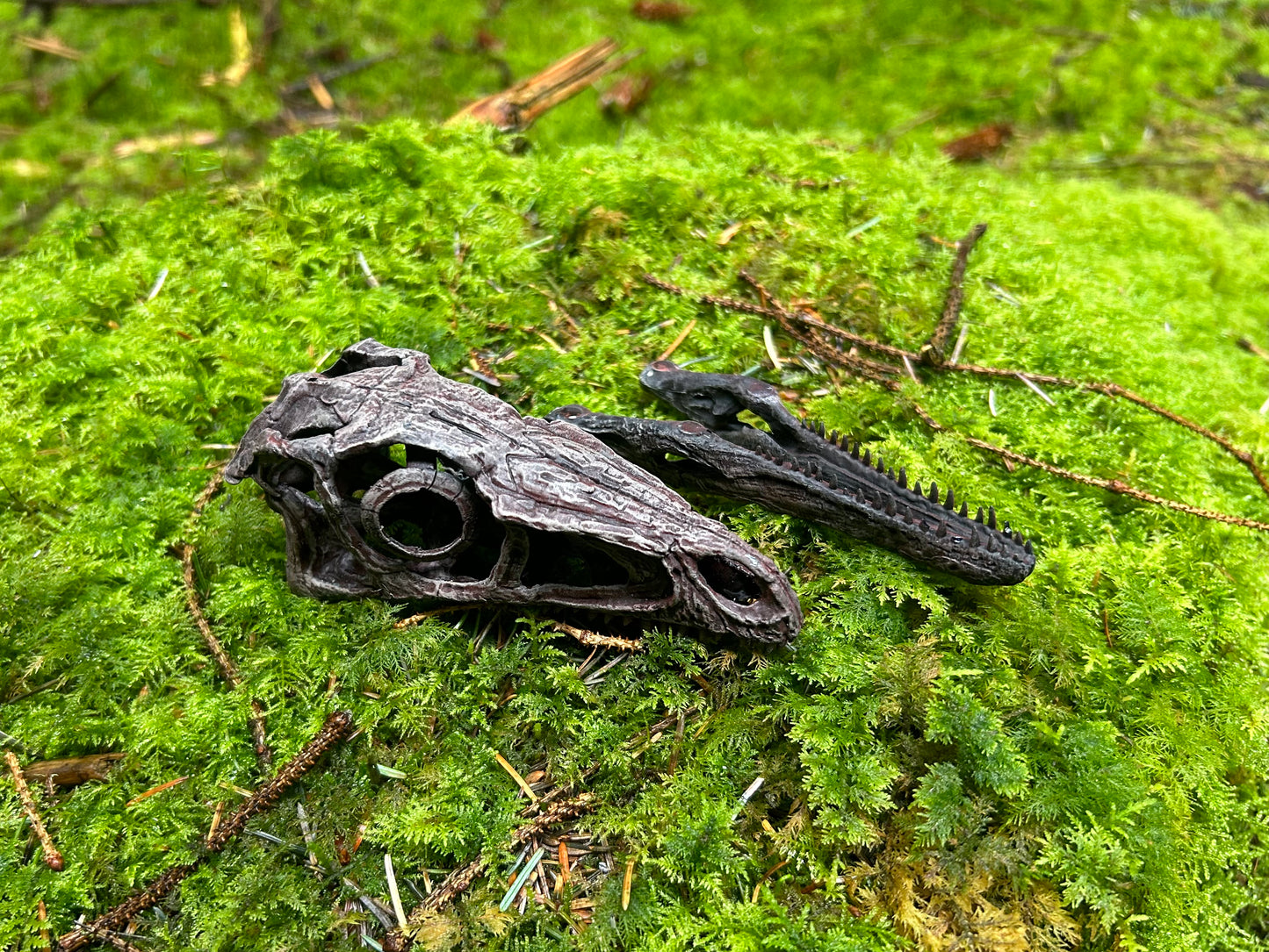 Eoraptor lunensis