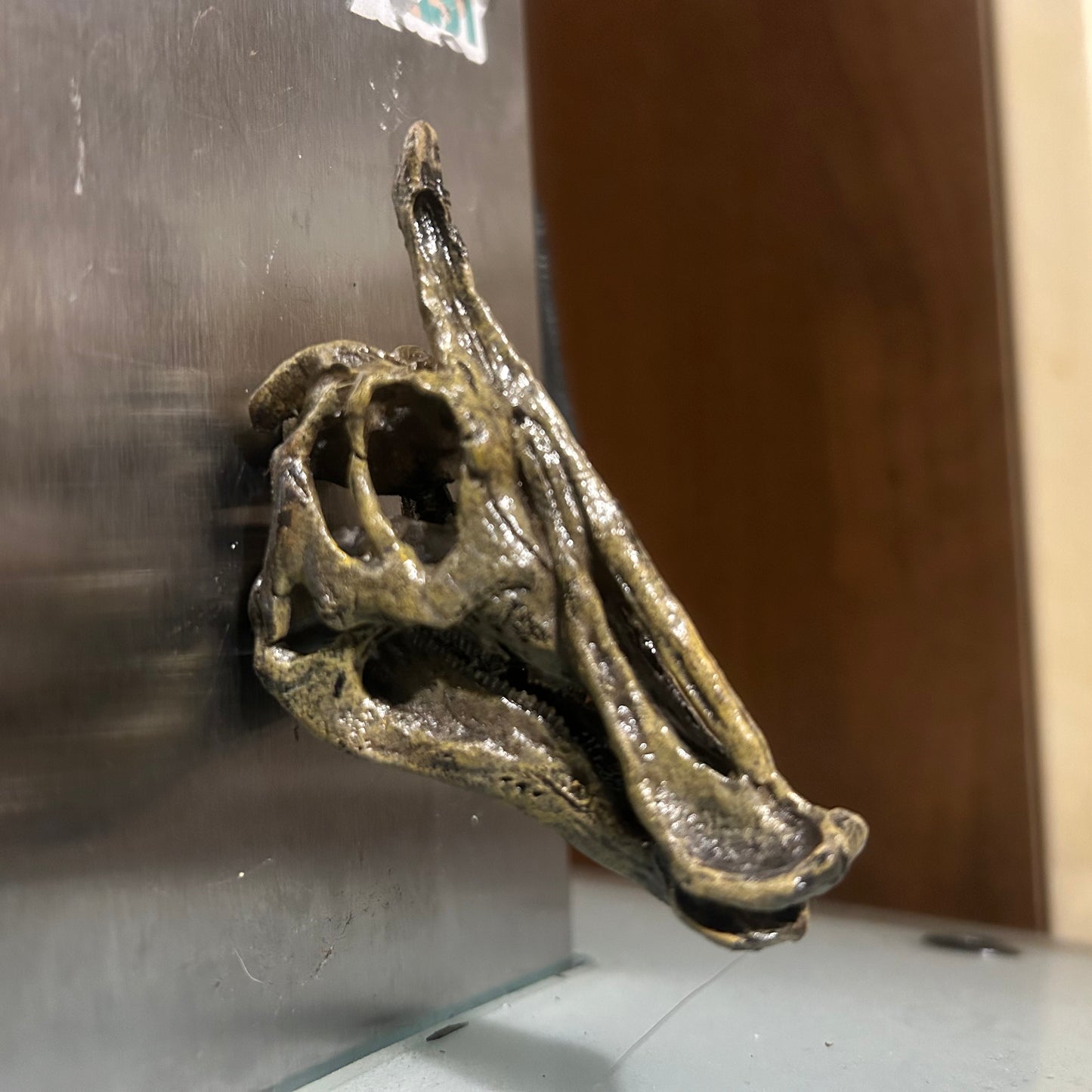 Saurolophus magnet (3D)