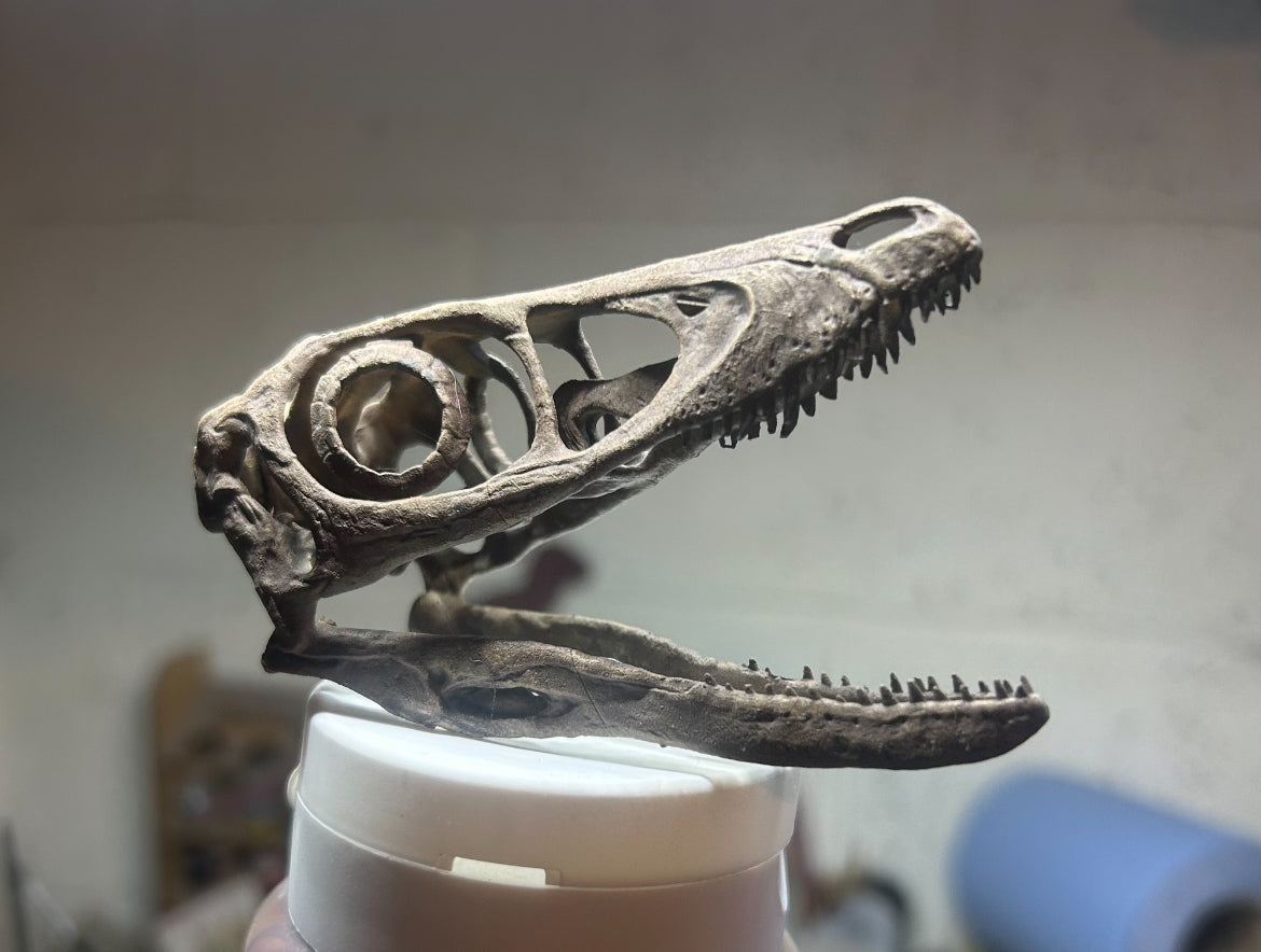 Microraptor gui (BB)