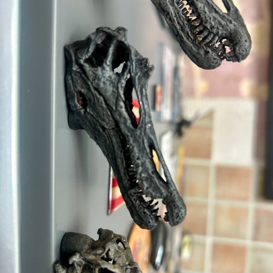 Baryonyx 3D magnet