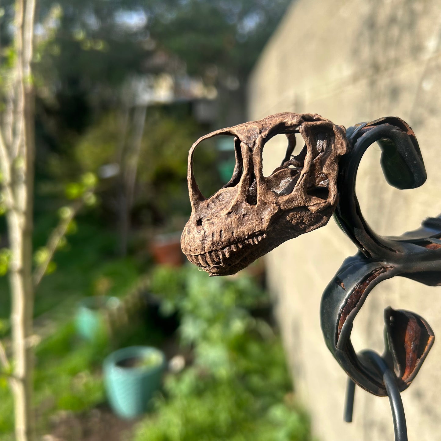 Europasaurus 3D Magnet