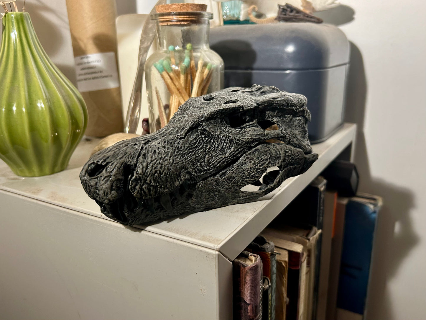 Baurusuchus salgadoensis