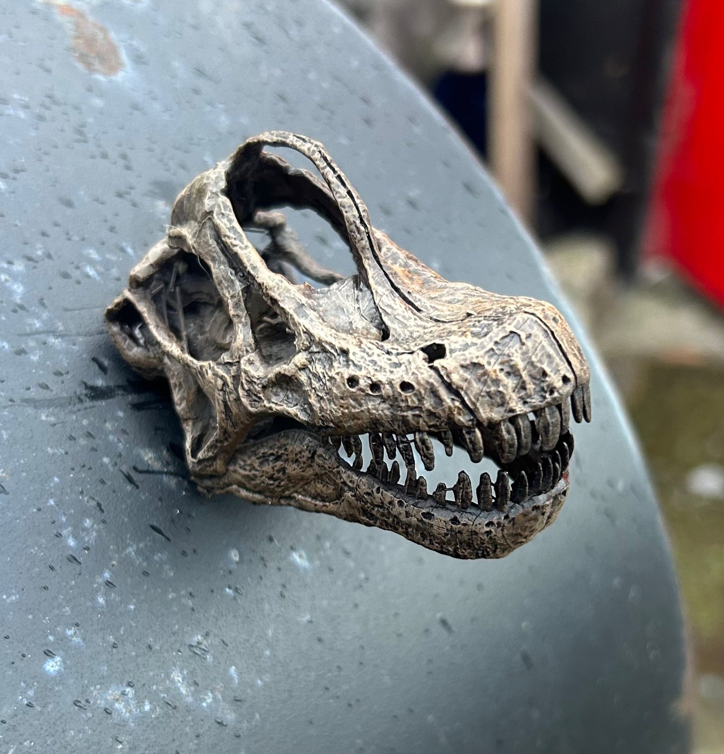 Giraffatitan magnet (3D)
