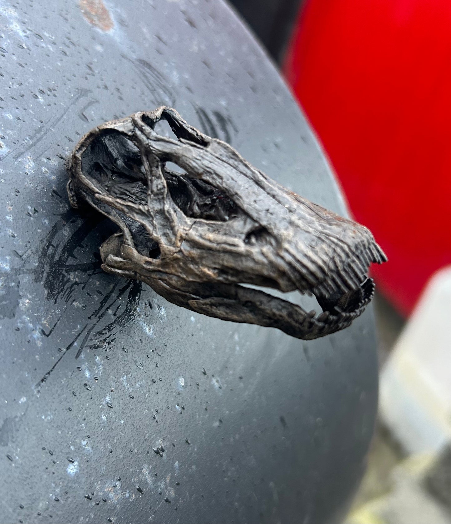 Diplodocus magnet (3D)