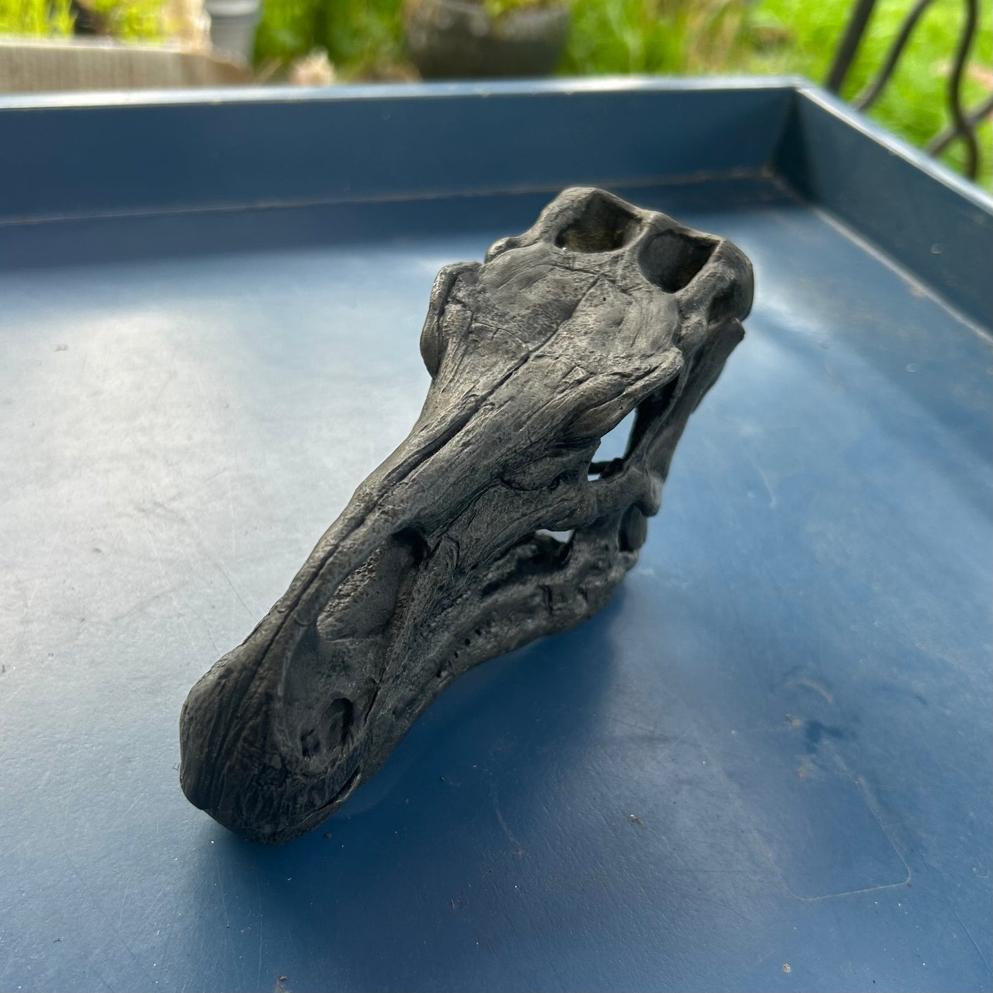 Iguanodon bernissartensis
