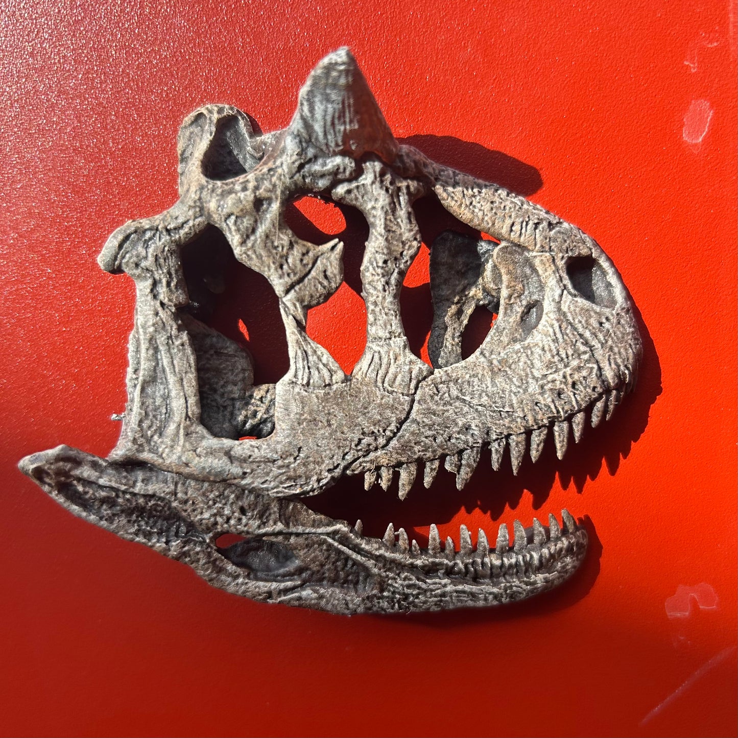 Carnotaurus Magnet