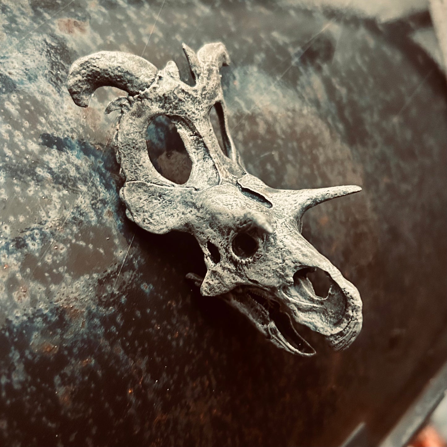 Lokiceratops 3D magnet