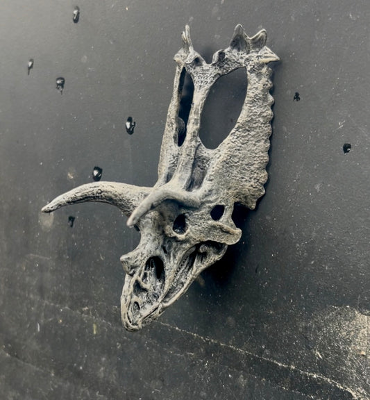 Pentaceratops 3D Magnet