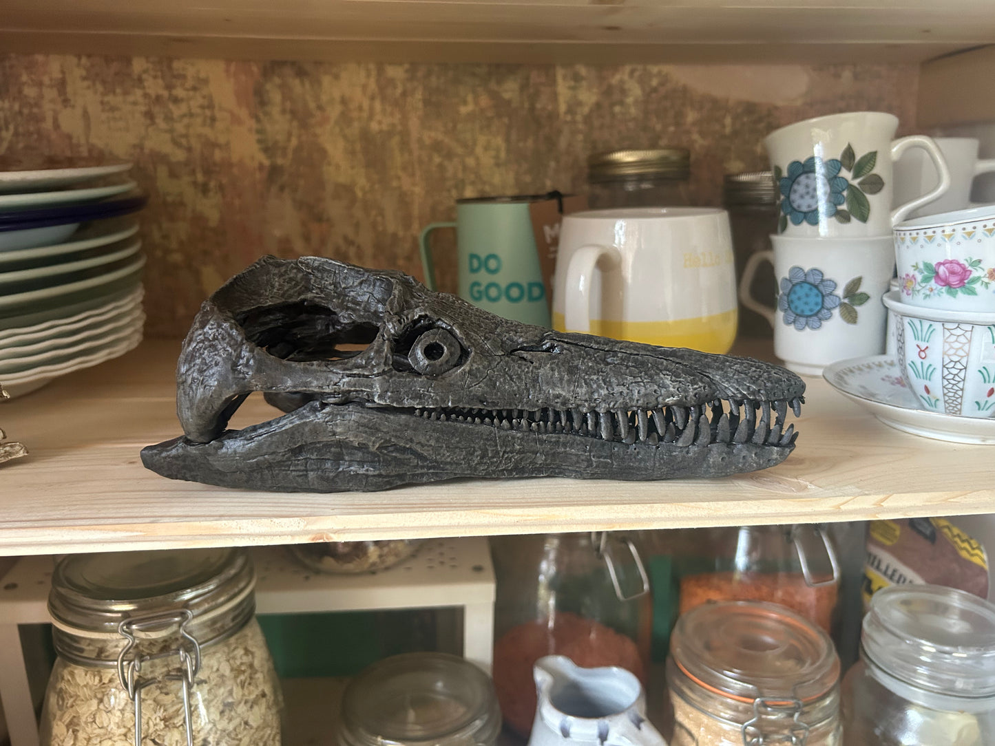 Pliosaurus kevani