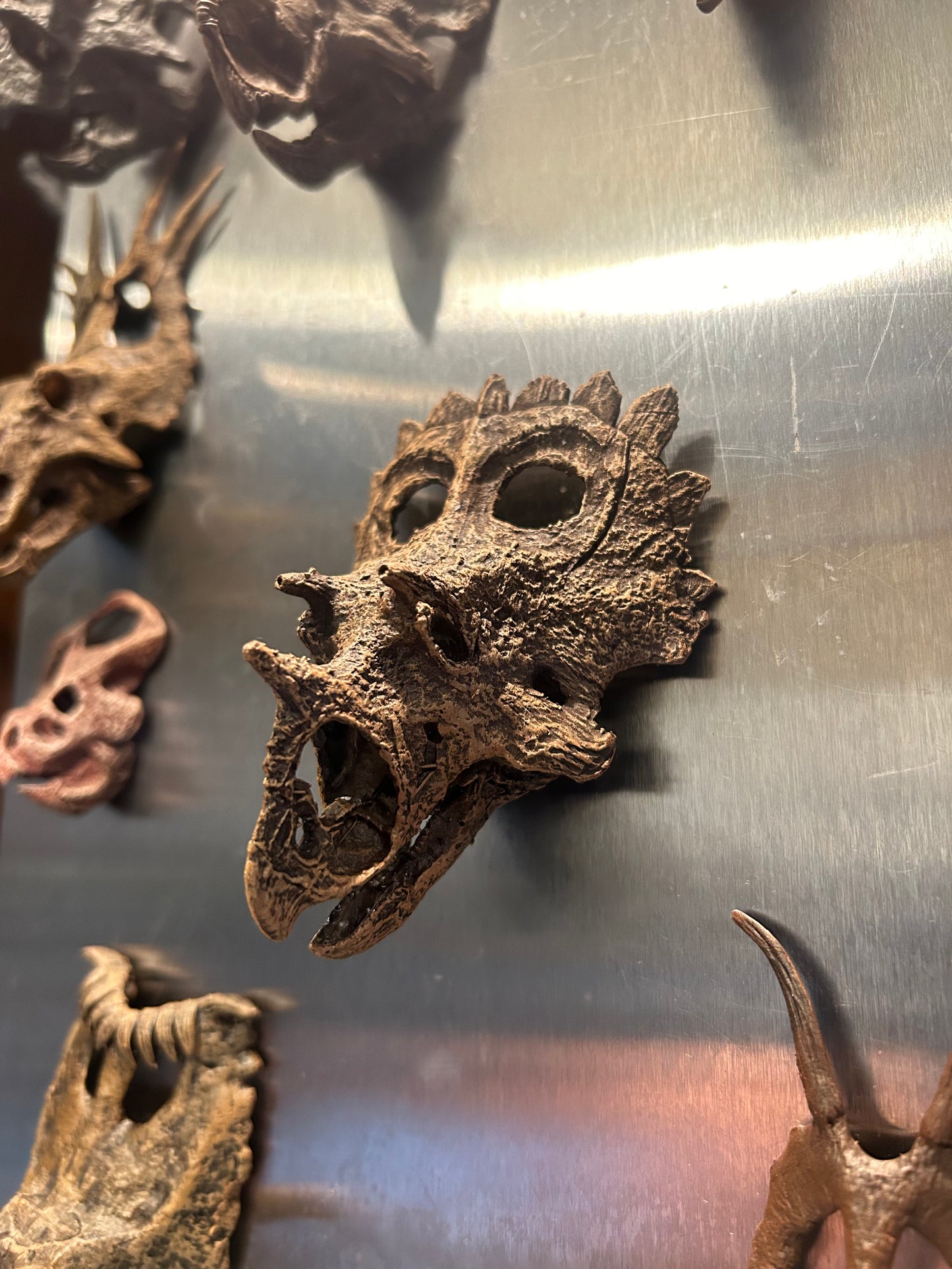 'Ceratopsian Wall' Bundle