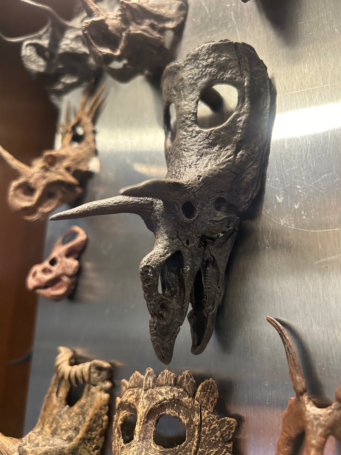 'Ceratopsian Wall' Bundle