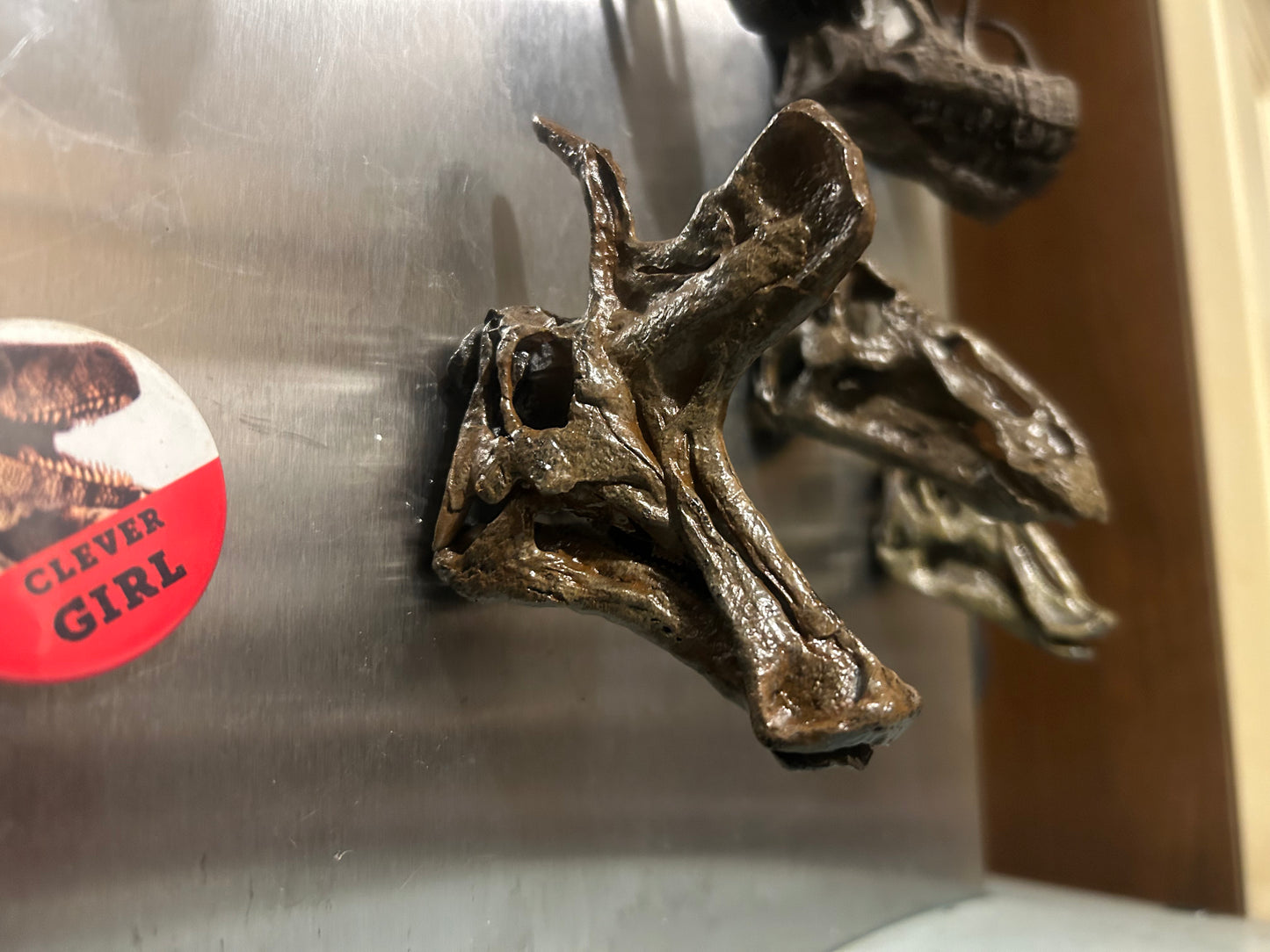 Lambeosaurus magnet (3D)