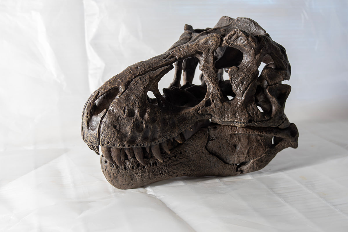 Tyrannosaurus rex (Type 2 - 'Stynamo')