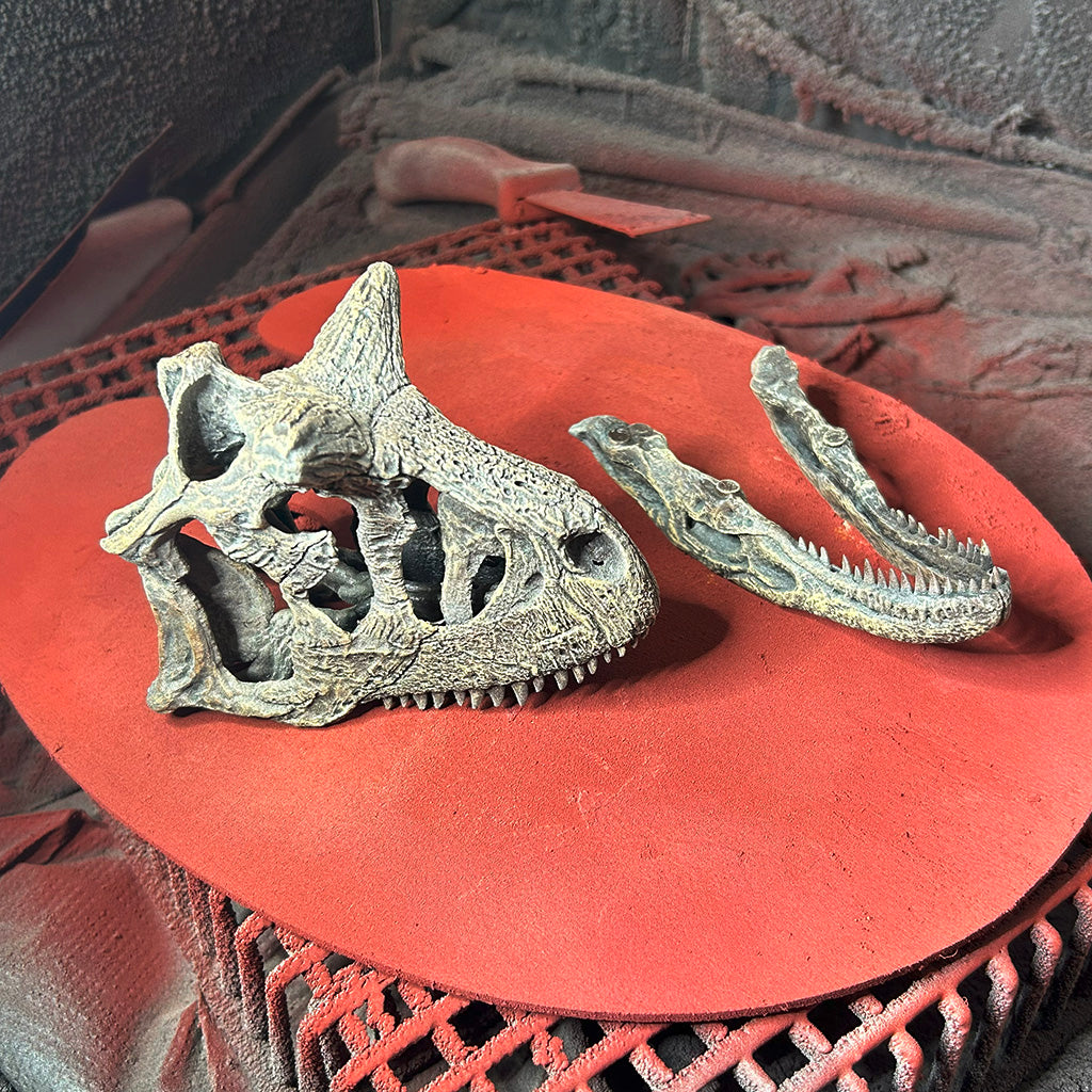 Carnotaurus sastrei