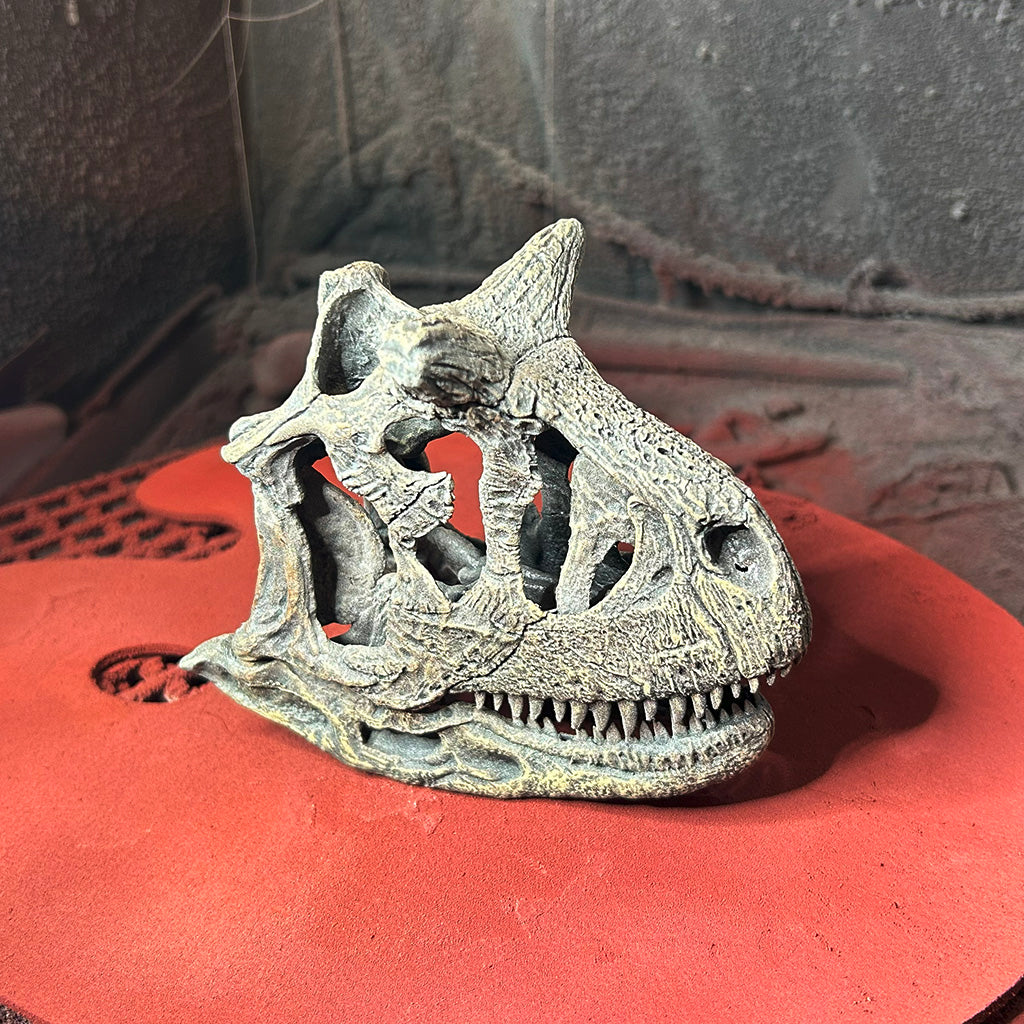 Carnotaurus sastrei