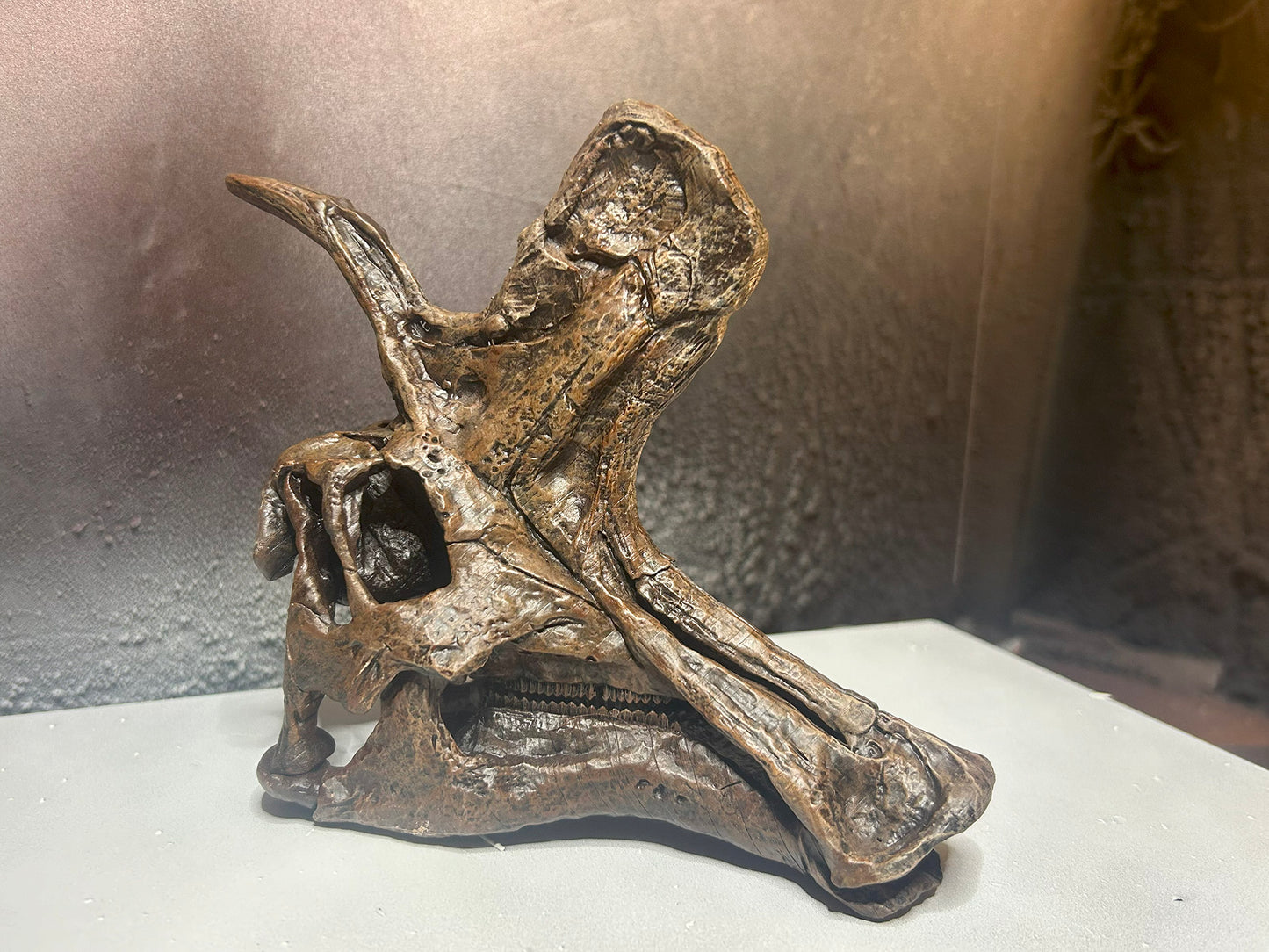 Lambeosaurus lambei