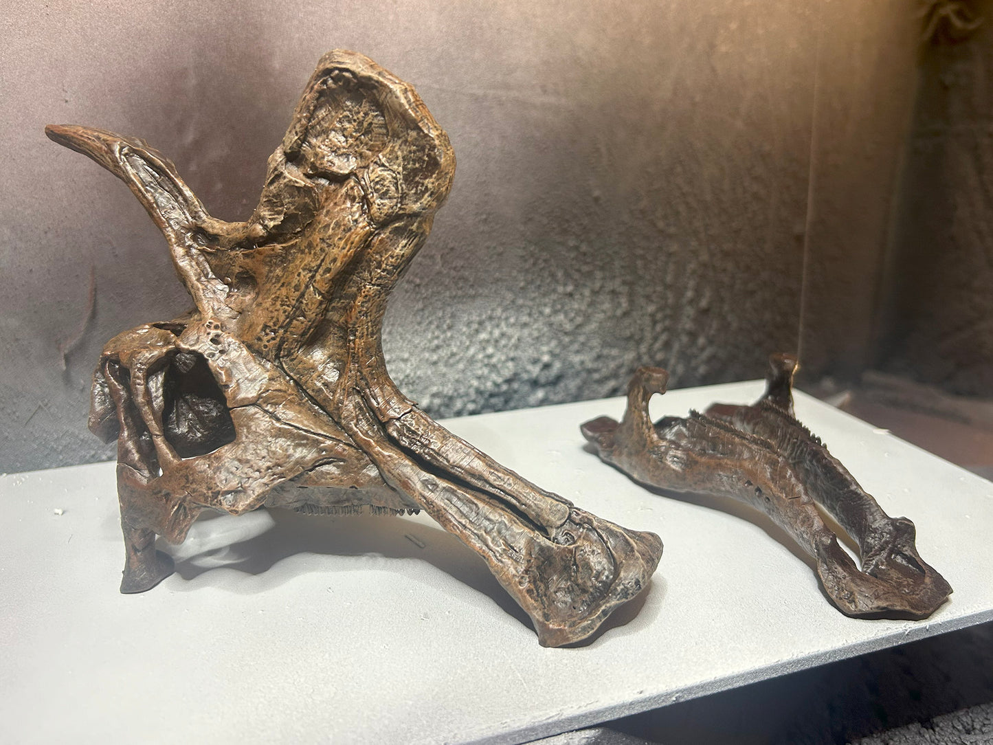 Lambeosaurus lambei