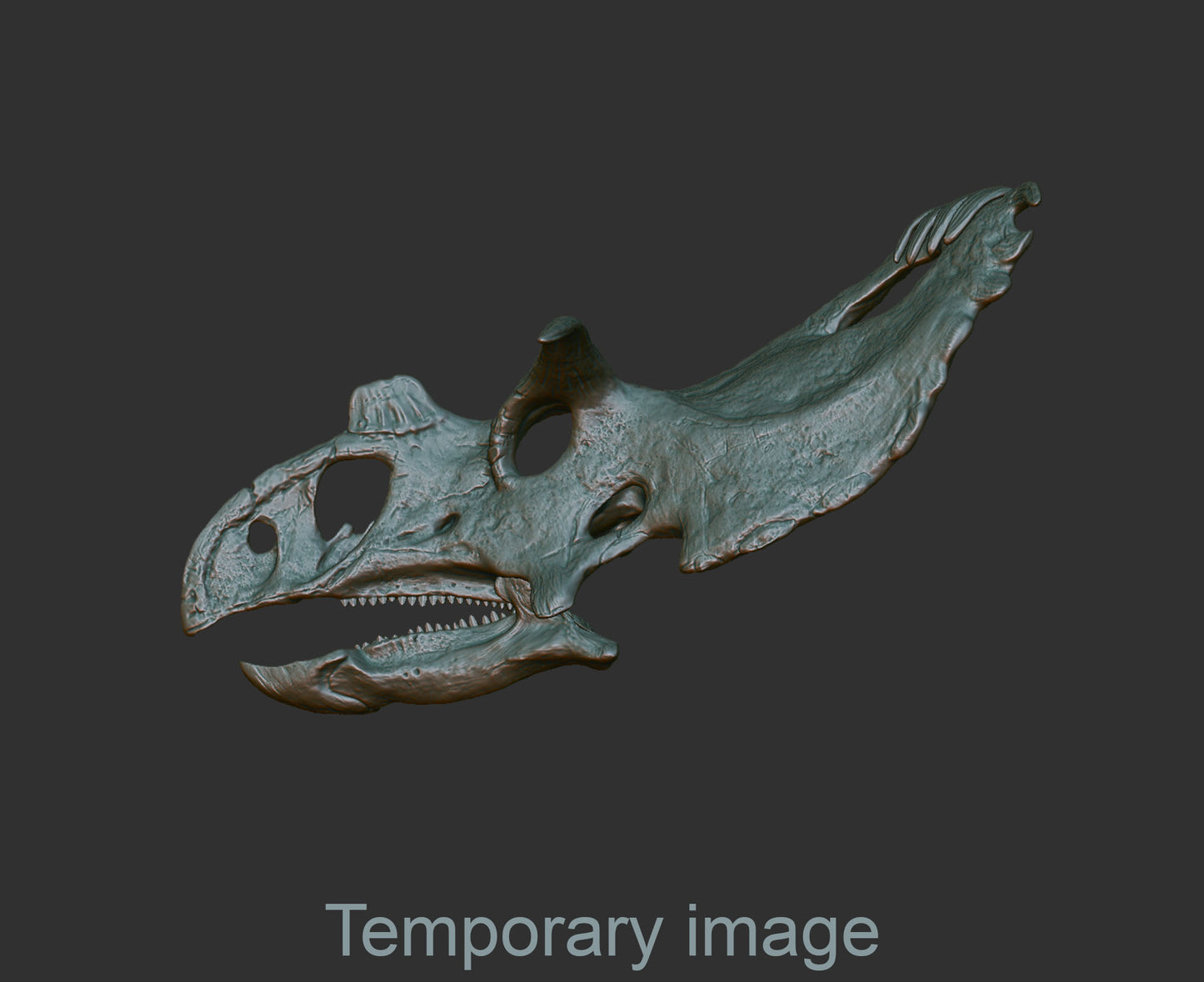 Kosmoceratops Magnet (bas relief)