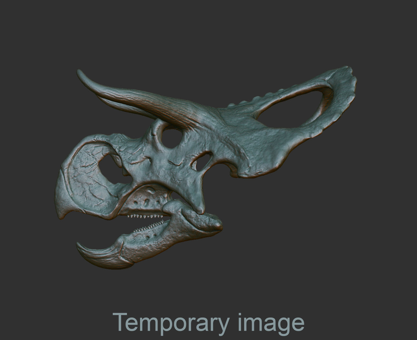 Nasutoceratops Magnet (bas relief)