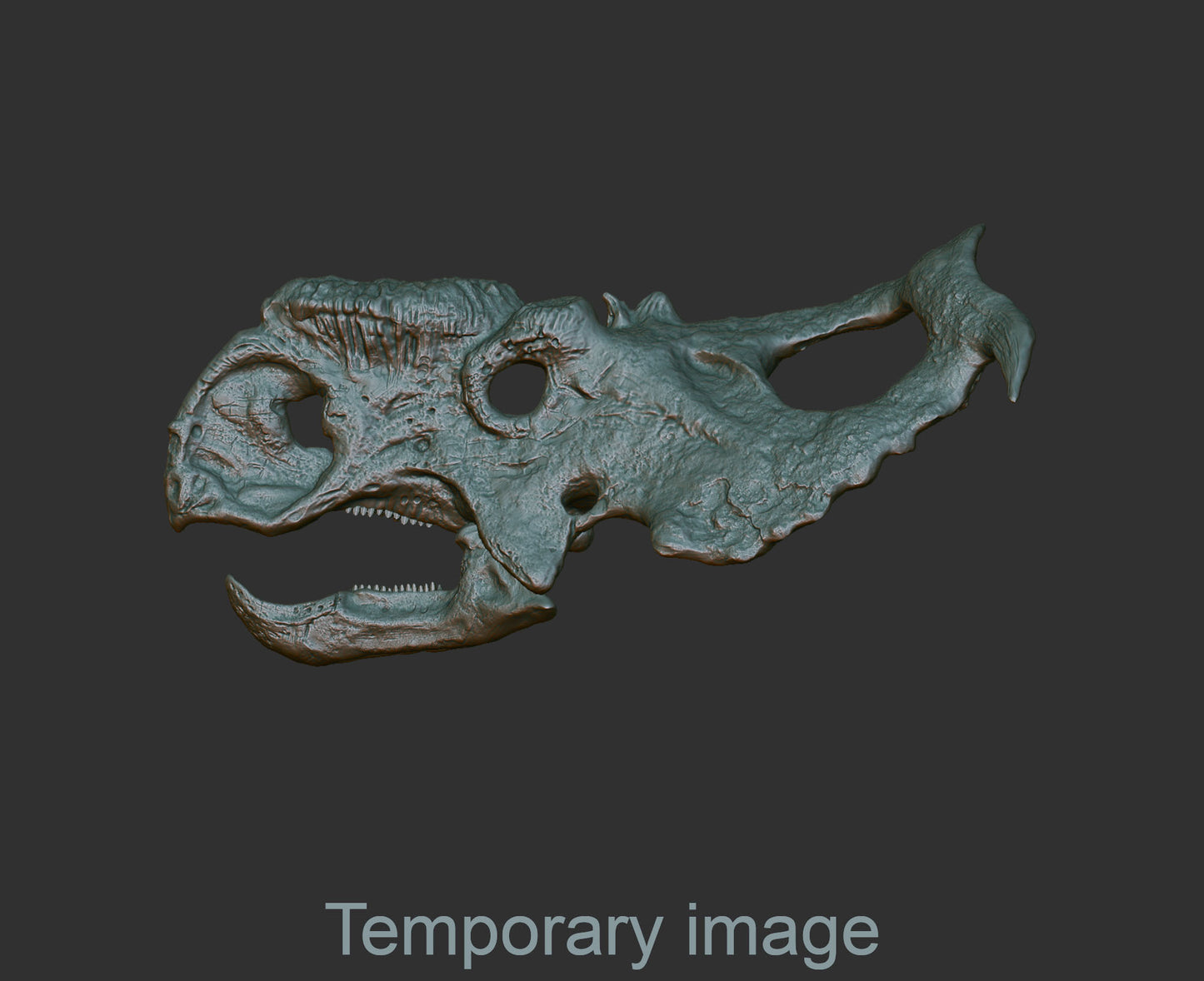 Pachyrhinosaurus Magnet (bas relief)