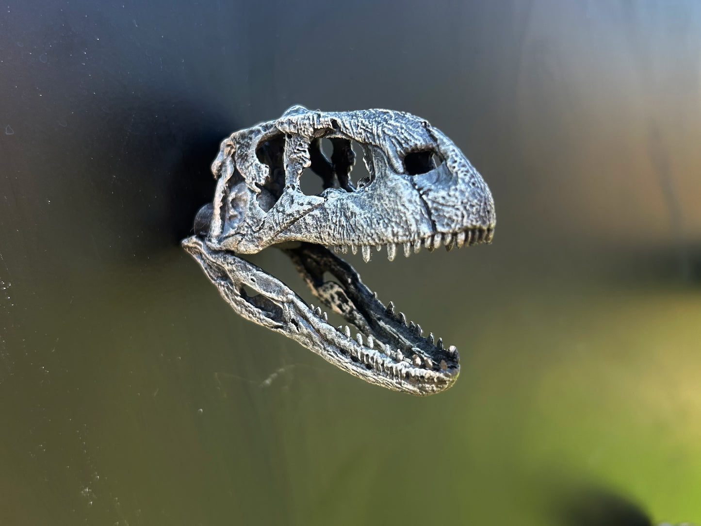 Rajasaurus 3D Magnet