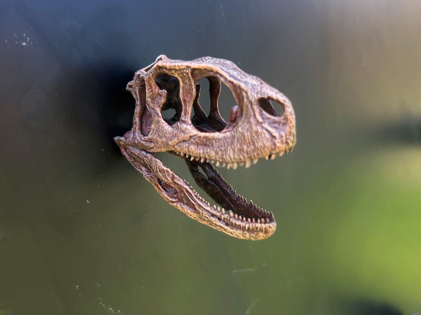 Rugops 3D Magnet