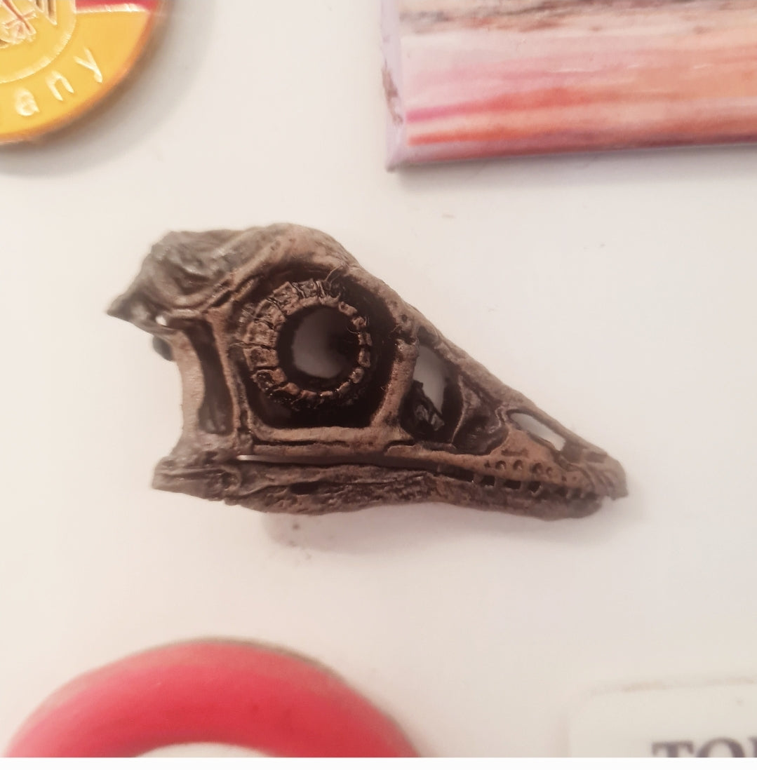 Archaeopteryx (1:1) Magnet