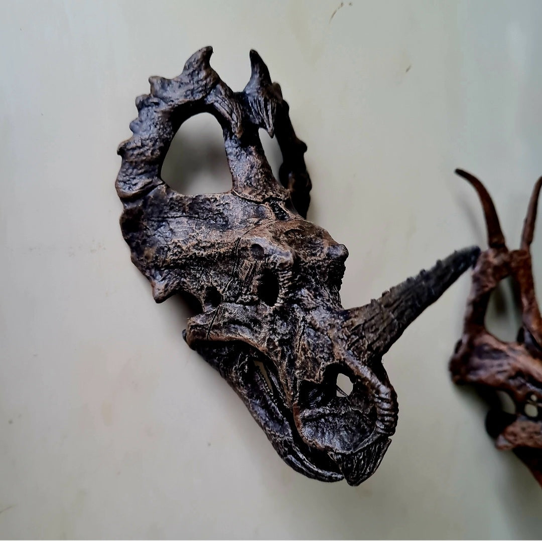 'Ceratopsian Wall' Bundle