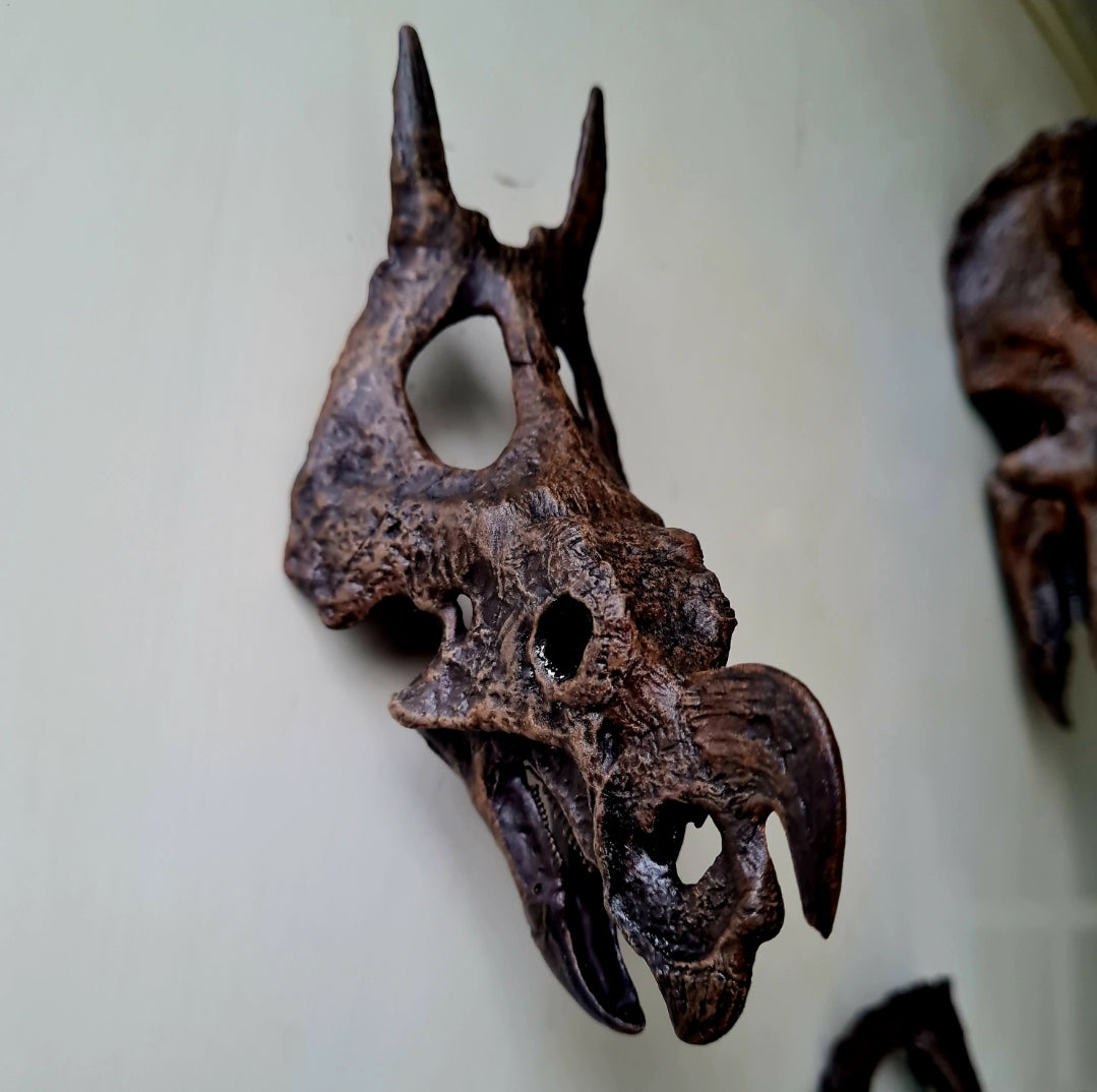 'Ceratopsian Wall' Bundle