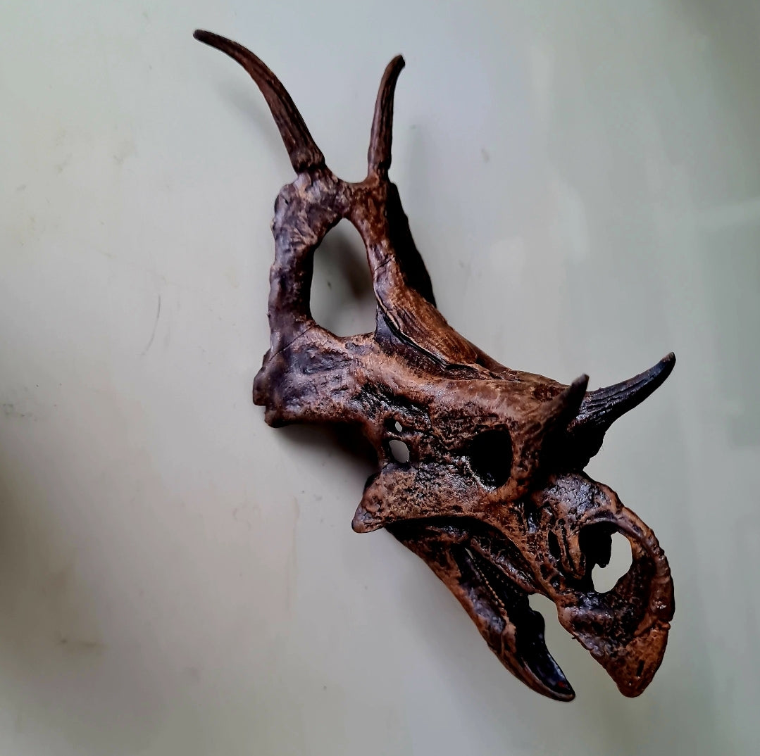 'Ceratopsian Wall' Bundle