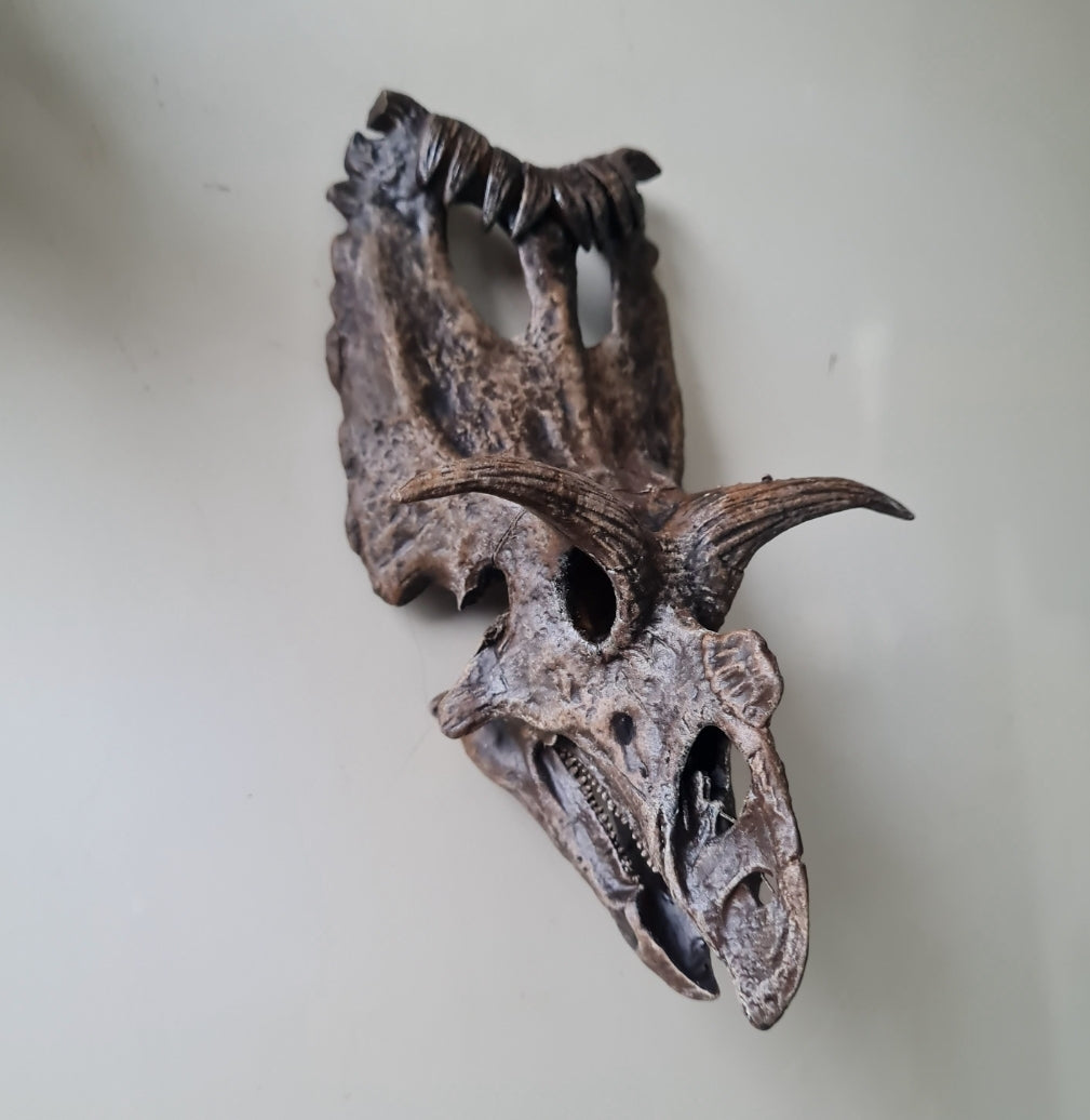 'Ceratopsian Wall' Bundle