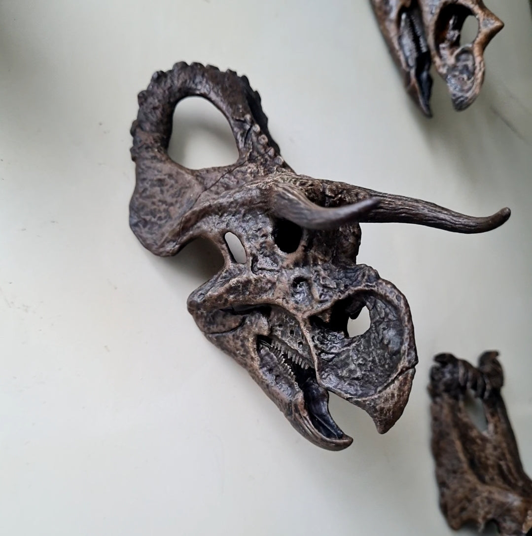 'Ceratopsian Wall' Bundle