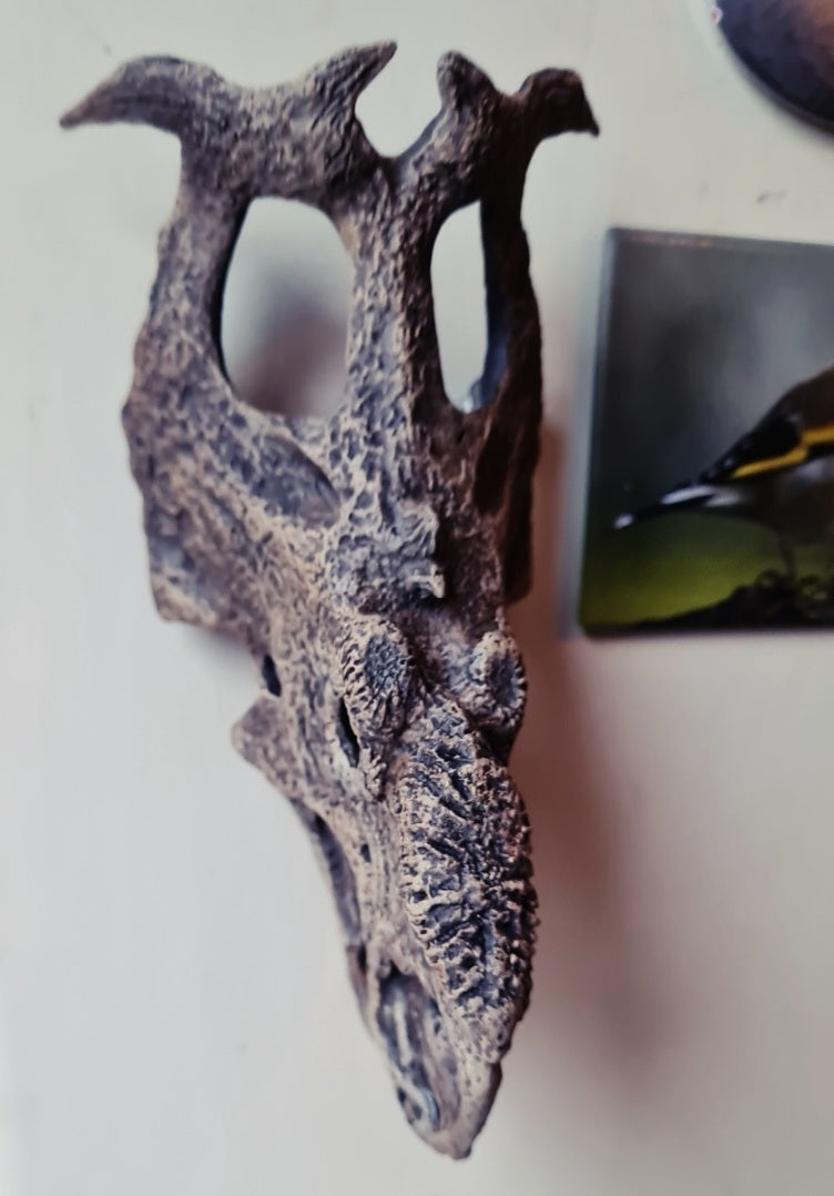 'Ceratopsian Wall' Bundle